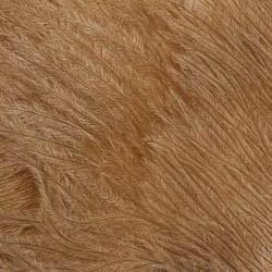 Marabou Plumes - Wapsi  - 3