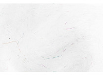 SLF Saltwater Dubbing  - 11