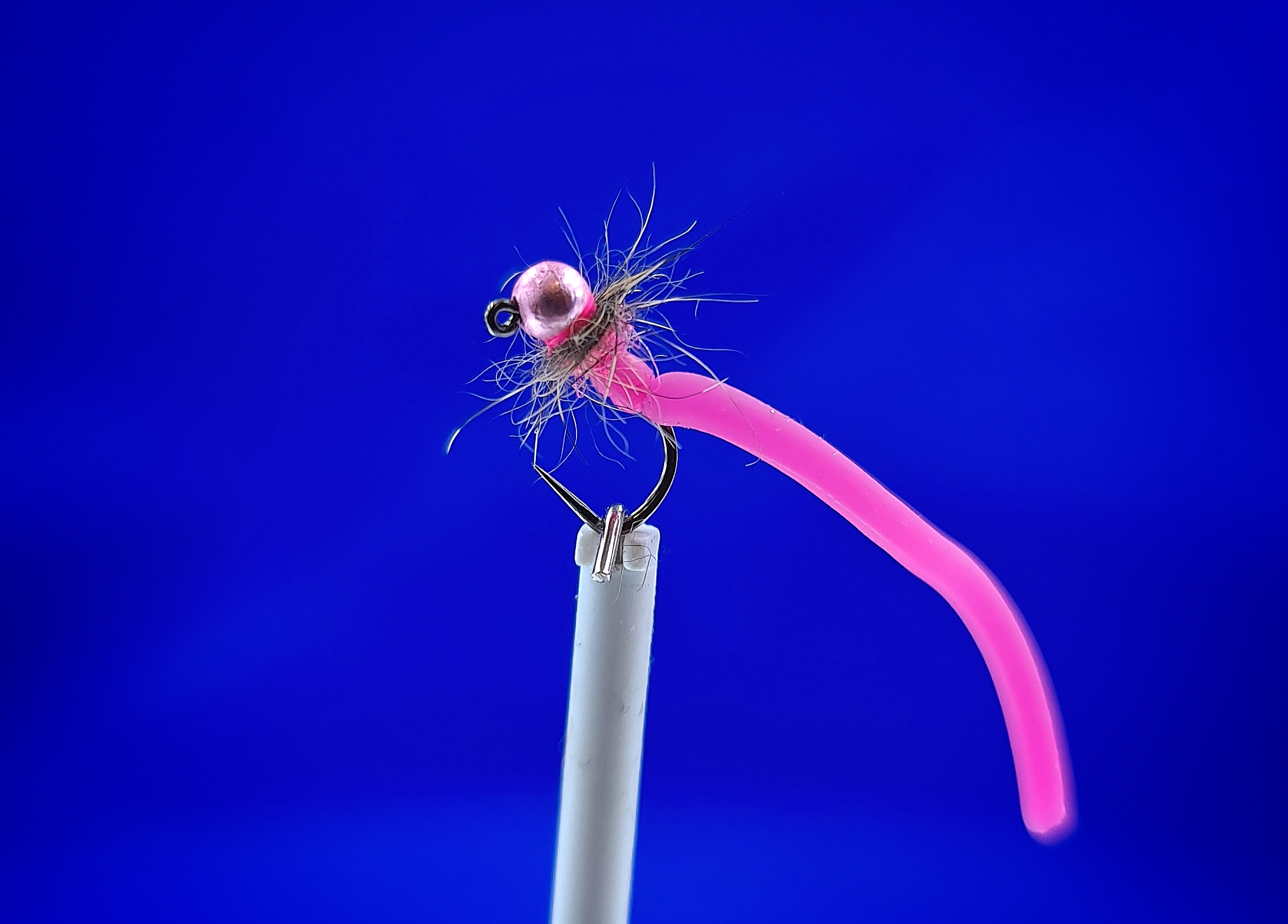 Paulo Squirmy Pink
