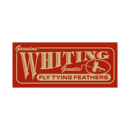 Whiting Coq de Leon Bronze Saddle - Black - 2