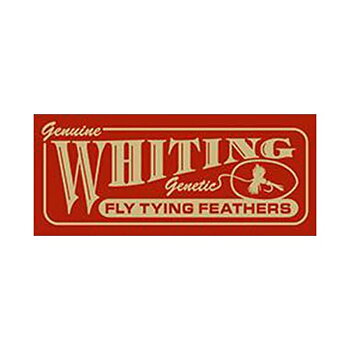 Whiting Coq de Leon Bronze Saddle - Black