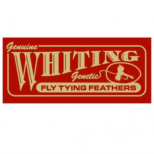 WHITING