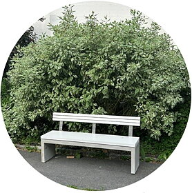 Parksofa til Sinsen kirke i Oslo