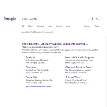 Google Adwords DSA - EN