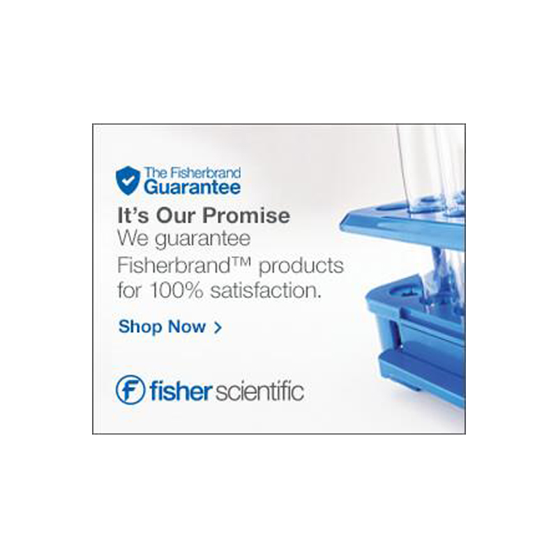 Display Advertisement - Product Focus