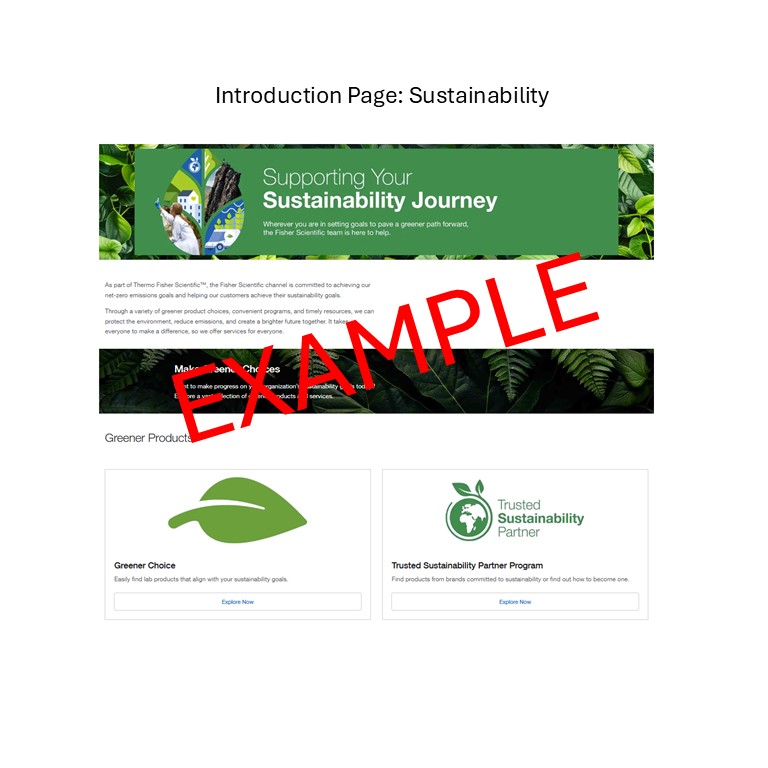 Flyer - Product (Rich Content) - 4