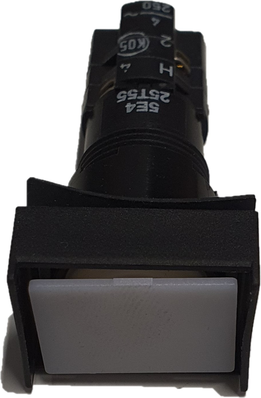 IMPULSTRYK RAFI IP65 ( ) 4817802138