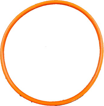 Gasket Cylinder Plug Gaske