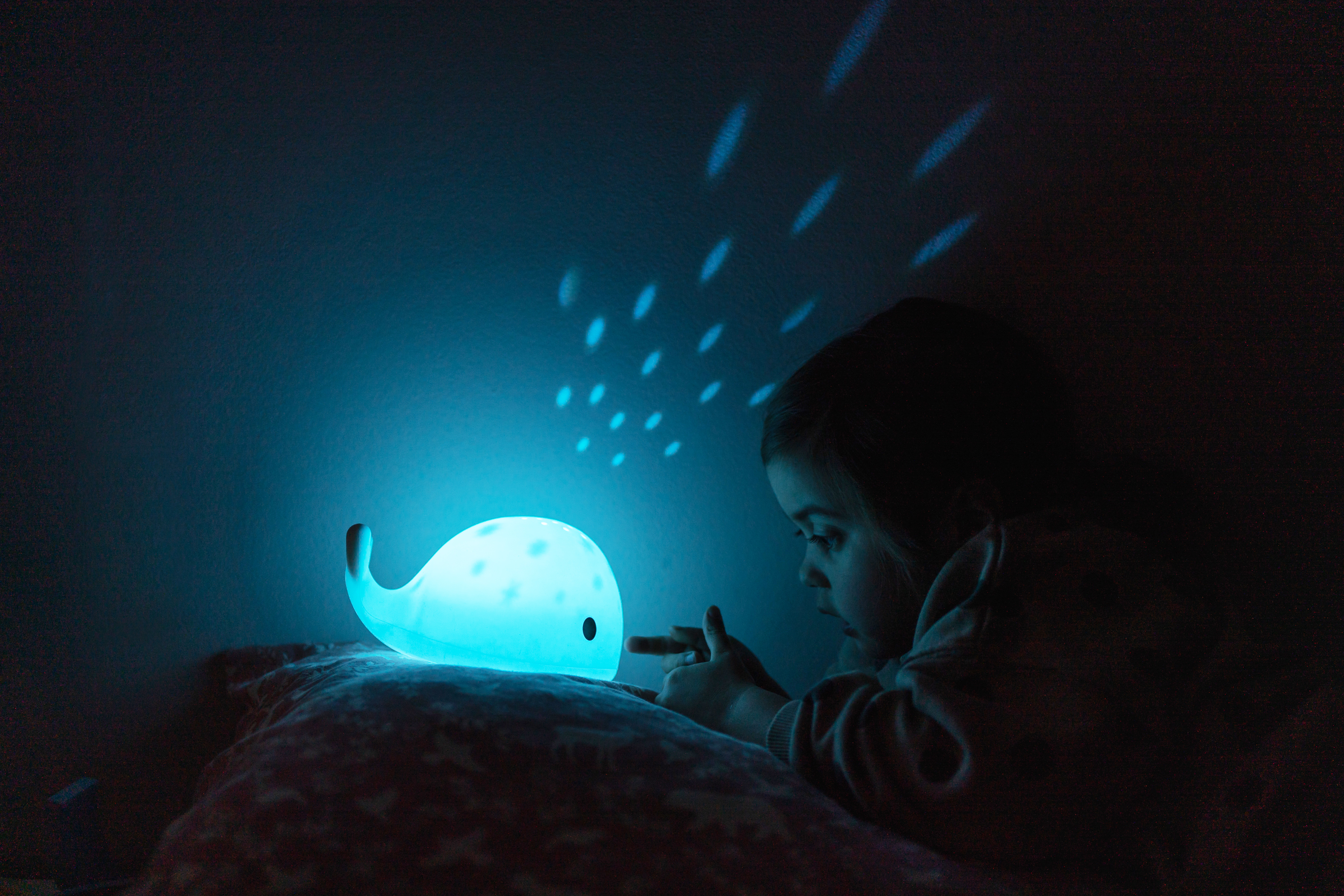 Flow Projector Moby  - 17