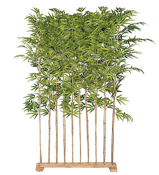 Bambu höjd 190cm, bredd 100cm