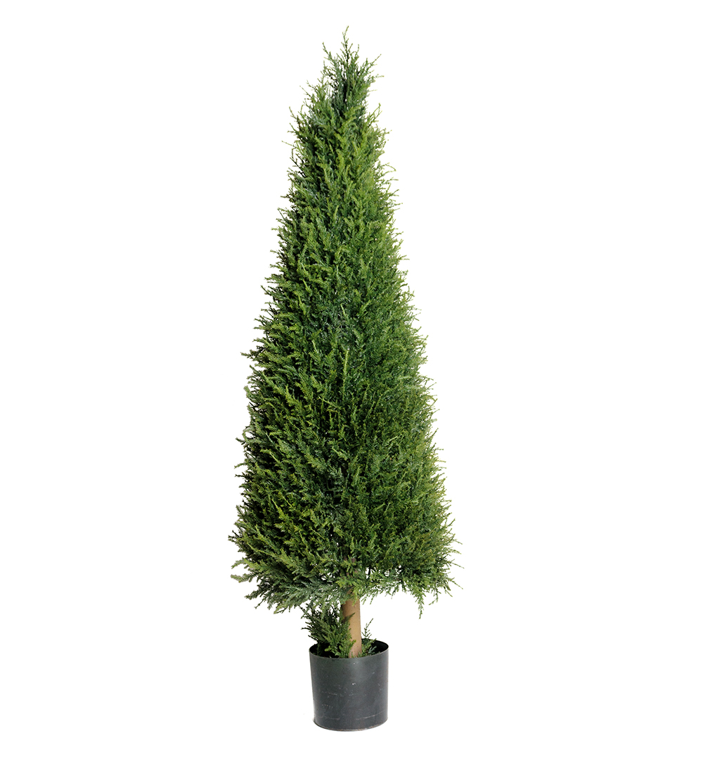En höjd 140cm