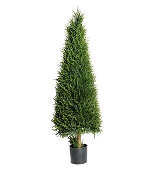 En höjd 140cm