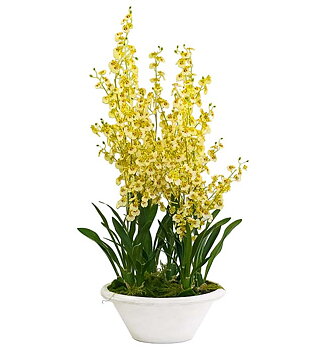 Orkidé Oncidium höjd 140cm