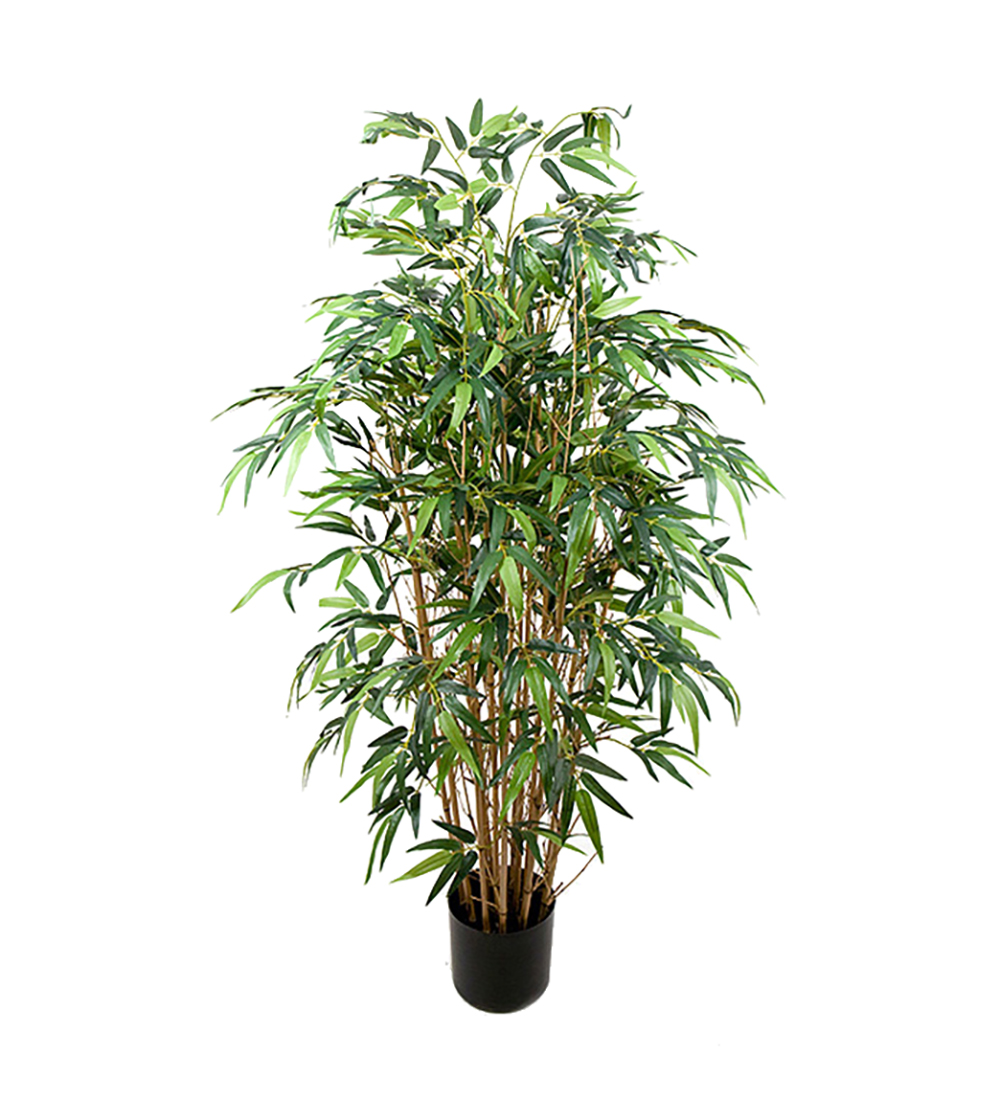 Bambu höjd 120cm