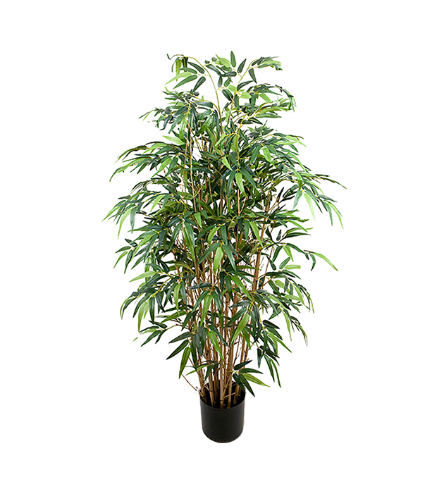 Bambu höjd 150cm