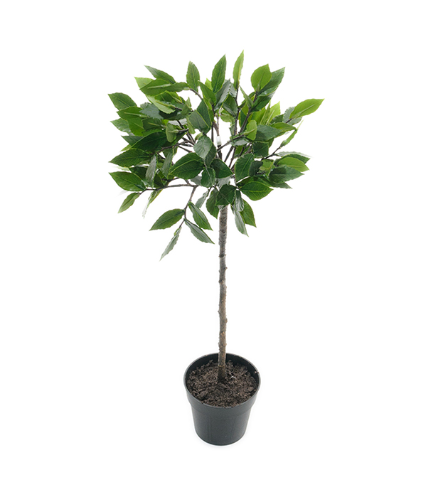 Lager på stam höjd 50cm