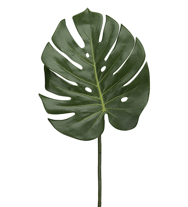 Monstera blad 60cm
