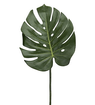 Monstera blad 60cm