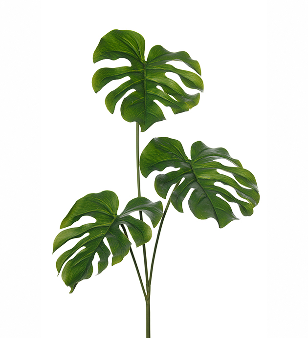 Monstera blad 75cm