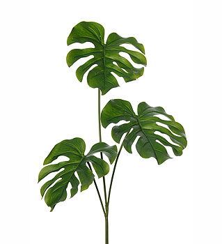 Monstera blad 75cm