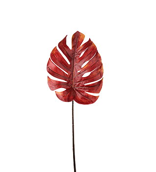 Monstera blad 75cm