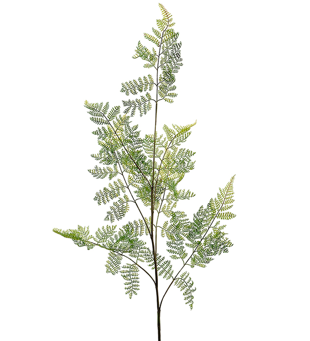 Ormbunke blad 140cm