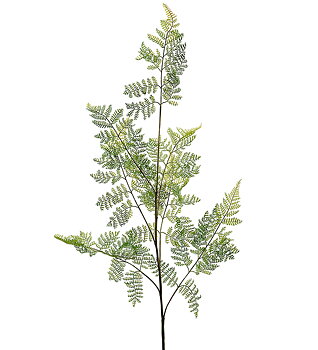 Ormbunke blad 140cm