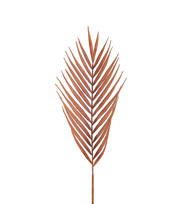 Palmblad 90cm