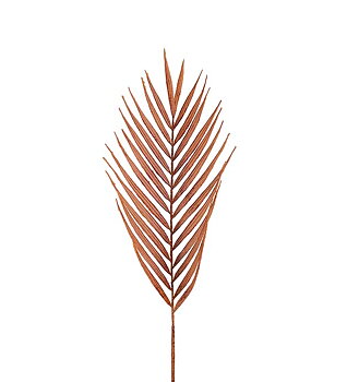Palmblad 90cm