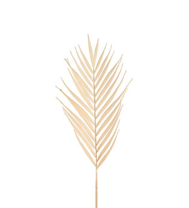 Palmblad 90cm