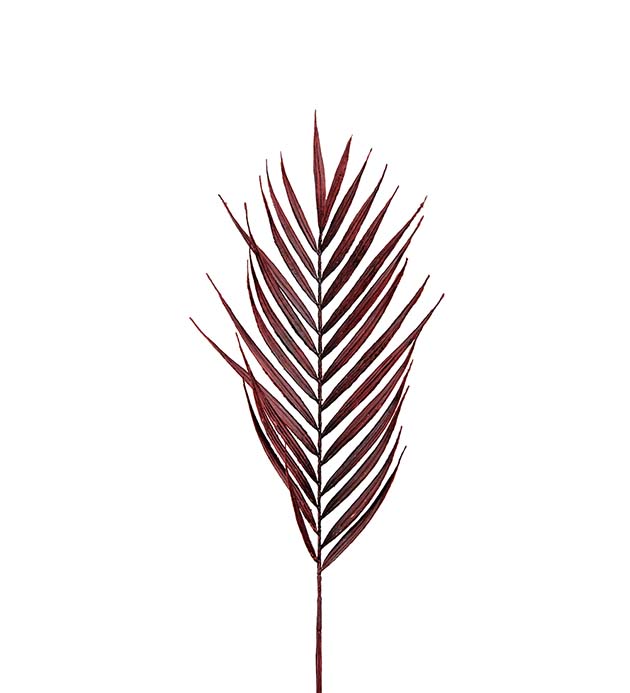 Palmblad 90cm