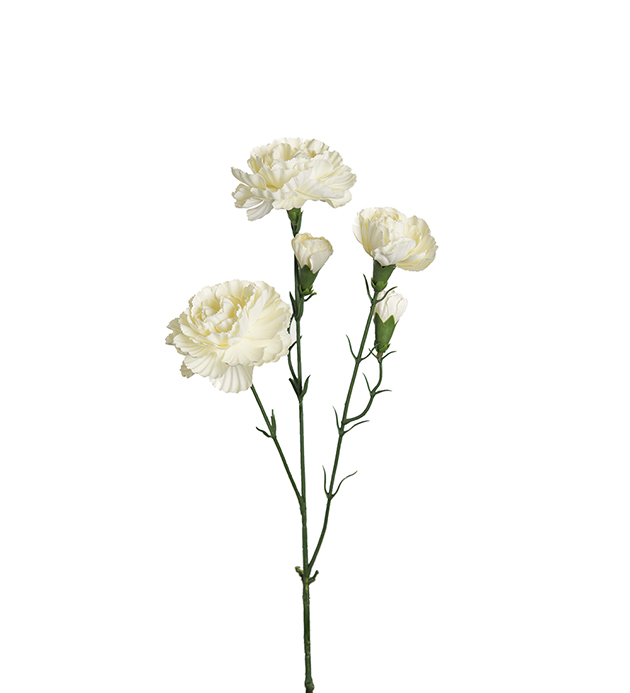 Nejlika Elegance 65cm
