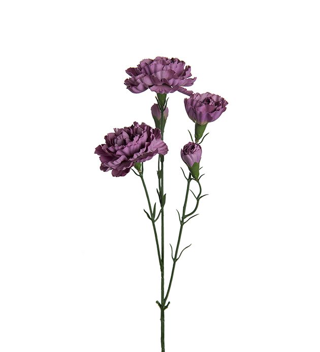Nejlika Elegance 65cm
