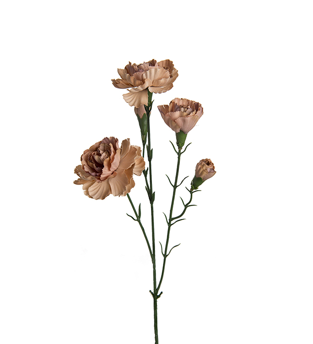 Nejlika Elegance 65cm