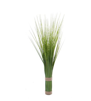 Gräs 60 cm