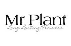 Mr Plant