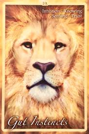 Chakra Insight Oracle - Engelska - 3
