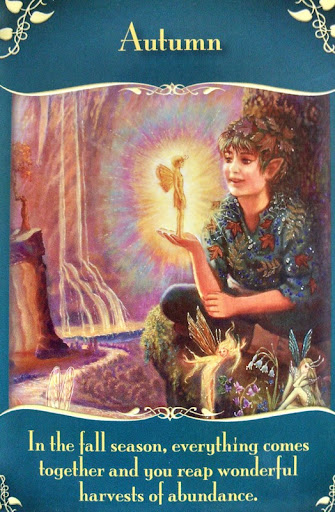 Faery Magic Message Cards - Engelska - 4