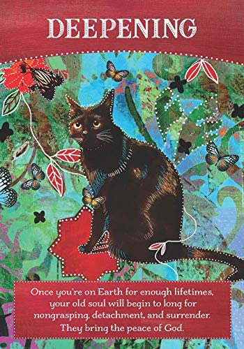 Divine Abundance Oracle Cards - Engelska - 2
