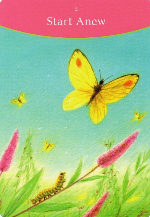 The Answer is Simple Oracle Cards - Engelska  - 2