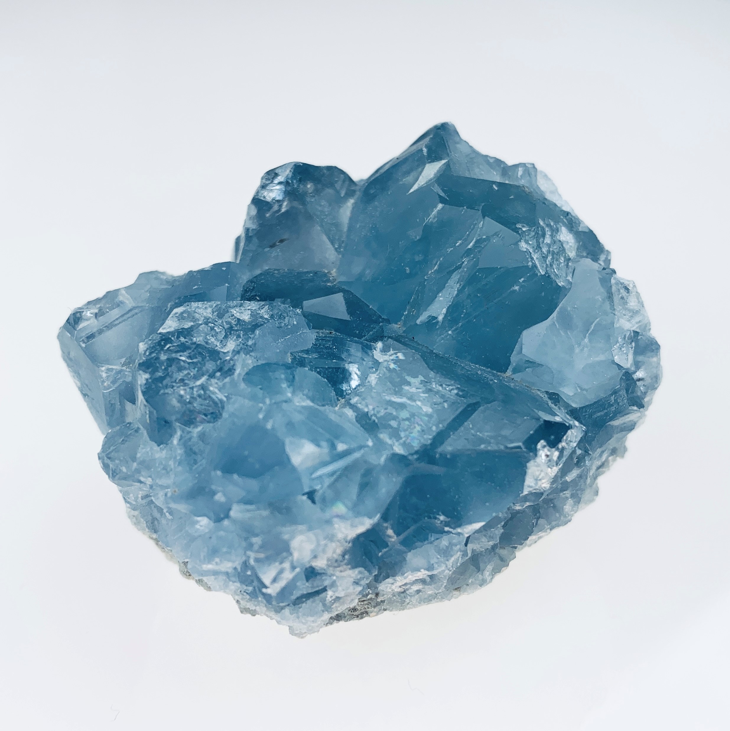 Celestin Kluster  - 3