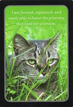My daily affirmation cards - Engelska - 4