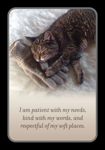 My daily affirmation cards - Engelska - 2