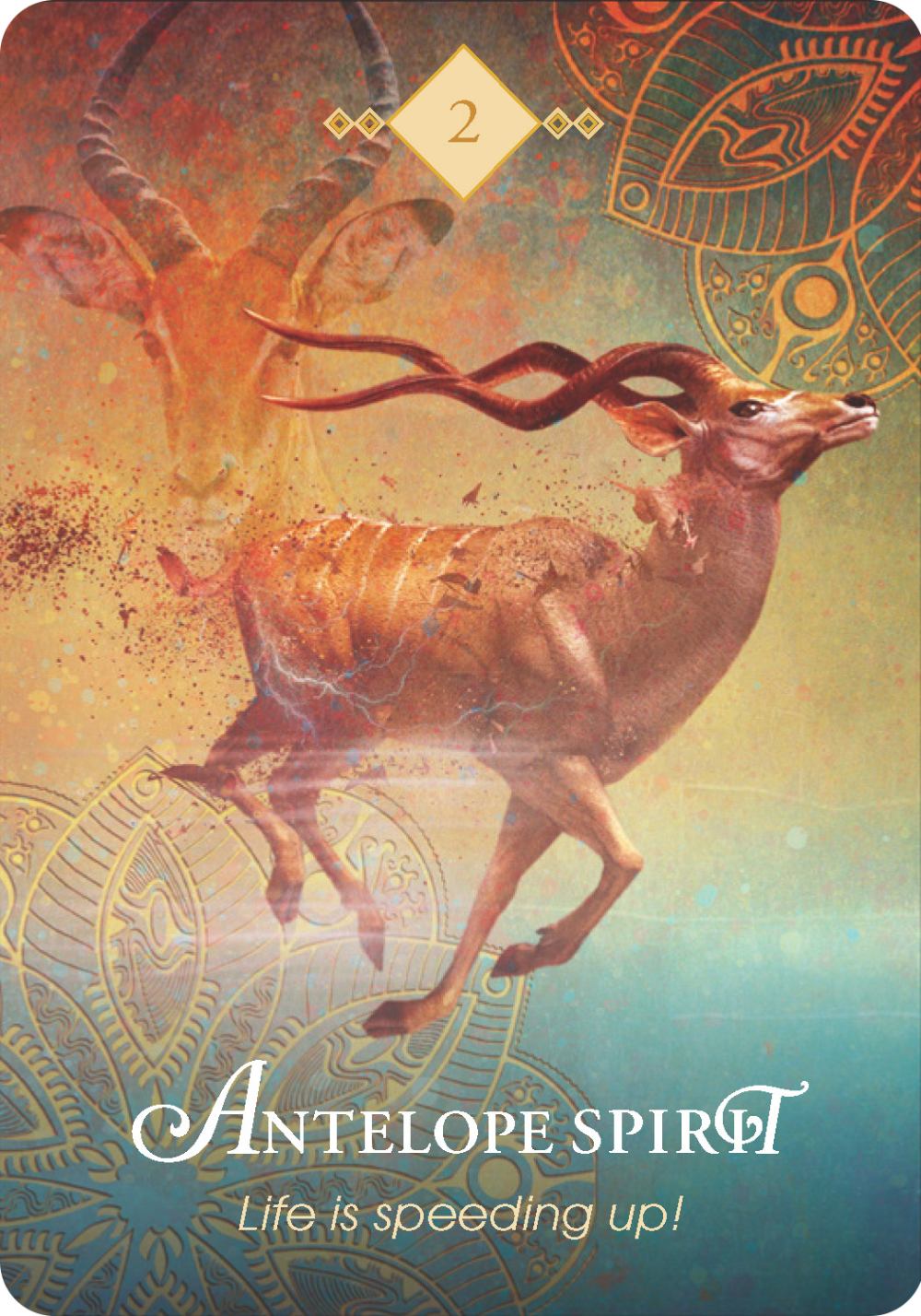 The Spirit Animal Oracle - Engelska - 2