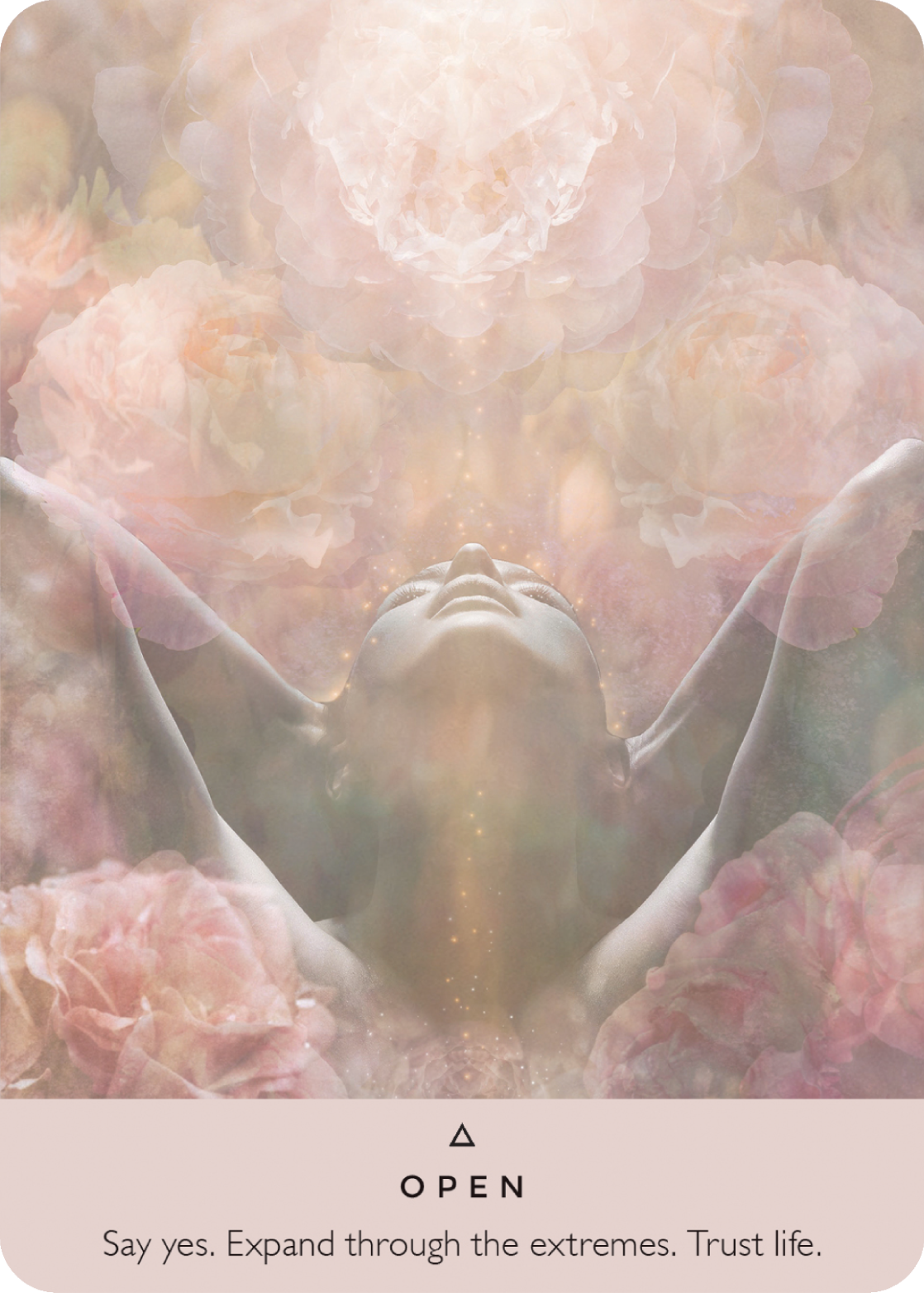 The Rose Oracle -Engelska - 4