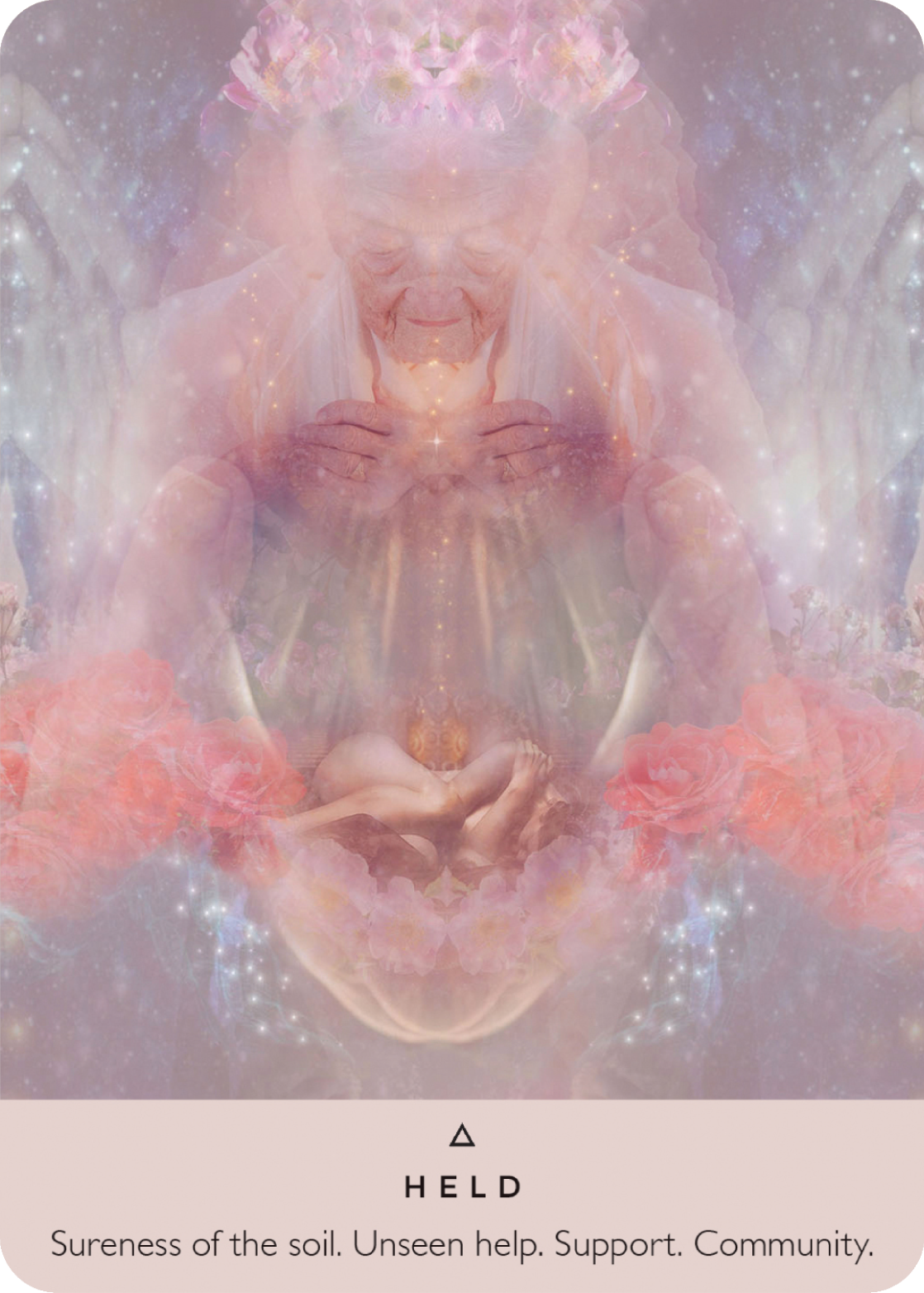The Rose Oracle -Engelska - 2