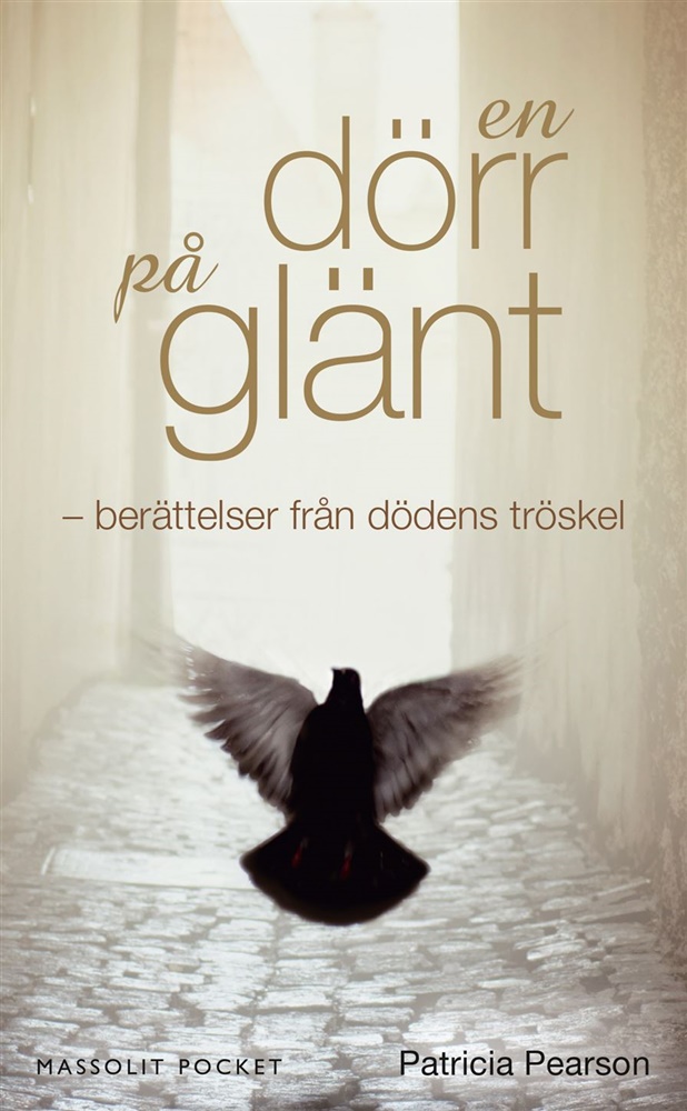 En dörr på glänt - Pearson Patricia