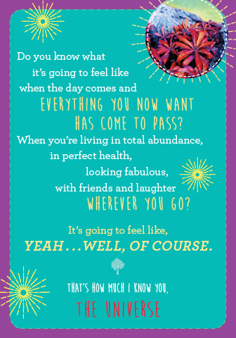 Notes from the Universe on Abundance - Engelska - 3