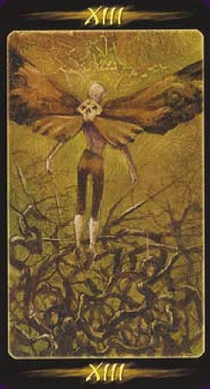 Tarot of the Secret Forest - Engelska - 2