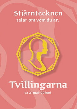 Tvillingarna